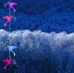 Meet your Posher, Connie